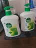 滴露（Dettol）洗手液松木500g瓶 健康抑菌消毒非补充装 儿童家庭用清爽去油 实拍图