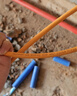 秋叶原（CHOSEAL）原装六类网线【工程版0.57±0.02mm】CAT6纯铜线芯非屏蔽千兆网线橙色100米 QS2619CT100S 实拍图