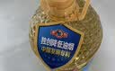 多力葵花籽油1.8L小瓶家用压榨零反式脂肪酸食用油  团购送礼 实拍图