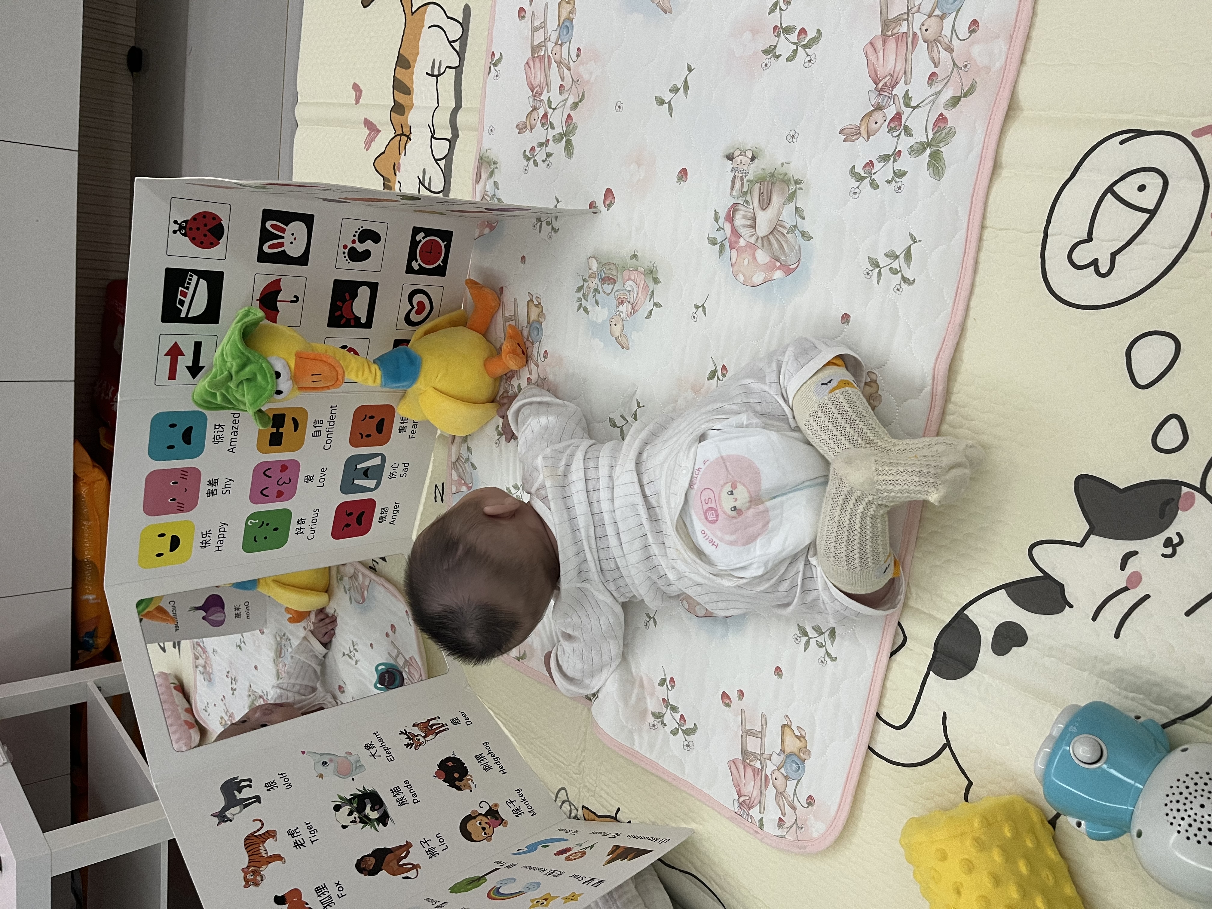 贝博氏babybox猫爪爬爬垫婴儿宝宝爬行垫抗菌XPE加厚可折叠200*180*2cm 实拍图