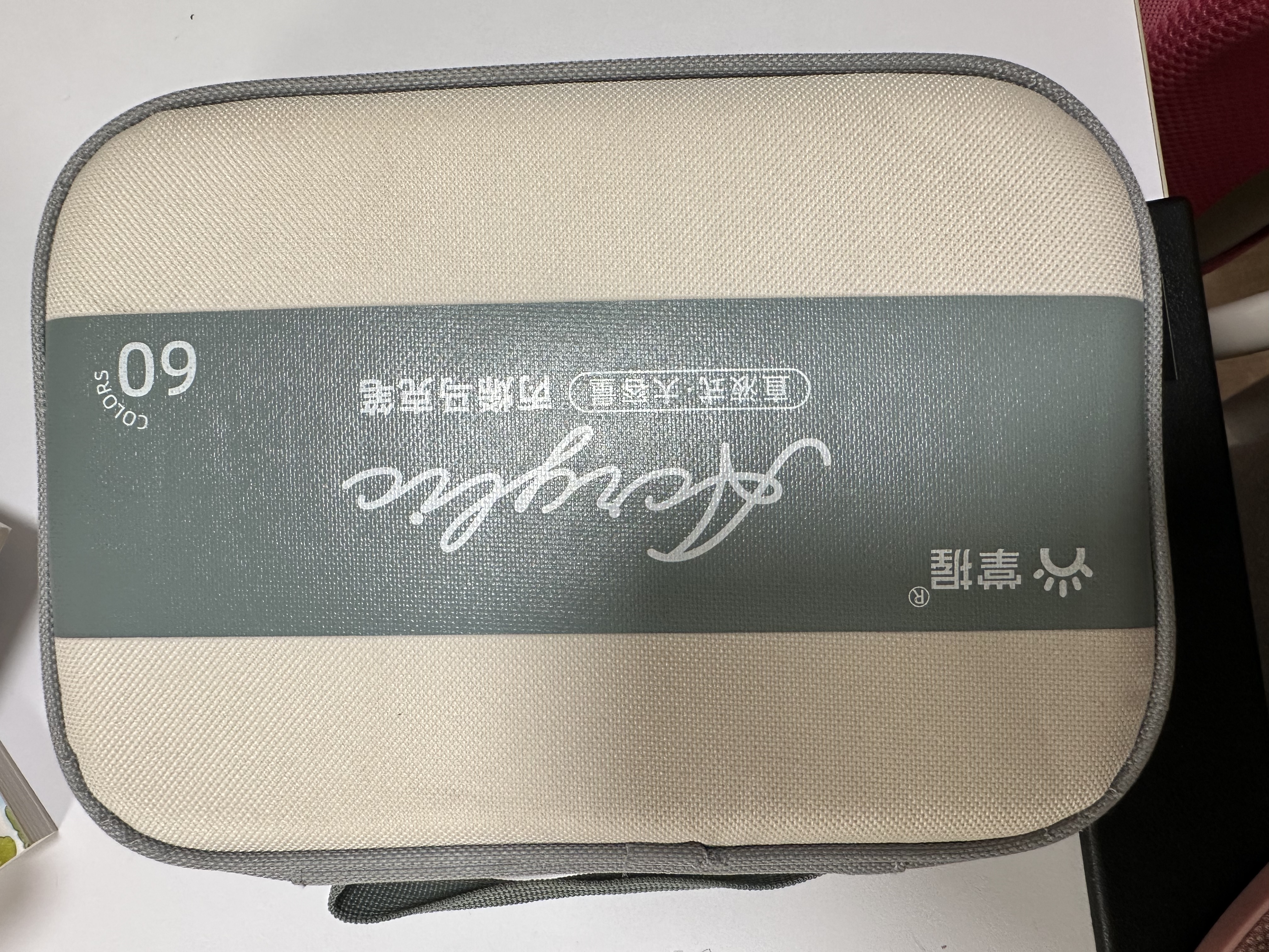 掌握直液式丙烯马克笔60色软头控墨亲肤可洗水彩笔高覆盖可叠色画笔儿童相纸涂鸦手抄报男女孩生日礼物 实拍图