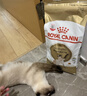 皇家猫粮 暹罗成猫粮 SM38 通用粮 12月以上 2KG 实拍图