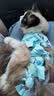 麦德氏IN 高钙低敏配方羊奶粉300g宠物羊奶粉狗狗猫咪幼犬幼猫羊奶粉 实拍图