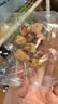 十月稻田 去皮去核灰枣 200g 新疆 软糯香甜 红枣 独立包装 辅食 实拍图