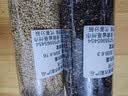 海盐蓝发绳发绳发圈头绳简约扎高马尾皮筋少女可爱头饰无缝高弹力 （opp袋包装）【颜色随机】 30根 实拍图