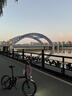 大行（DAHON）折叠自行车20英寸8级变速经典P8单车KBC083 黑色经典版-京仓 实拍图