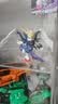 万代（BANDAI）SDEX飞翼高达零式(EW)高达拼装模型正版 实拍图