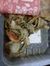 盖世法式蒜蓉扇贝150g 下饭下酒菜凉菜 解冻即食  烧烤露营宵夜 实拍图