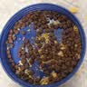 麦富迪猫粮 超肉粒冻干双拼奶糕离乳猫粮呵护免疫 冻干蛋奶2kg 实拍图