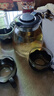 【京东物流】茶壶套装整套茶具大容量玻璃茶杯带滤网耐高温泡茶具 1000ML一壶+四杯套装【无茶盘】 实拍图