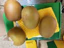 佳沛（zespri）新西兰阳光金奇异果18粒礼盒优选果单果103-124g 猕猴桃水果礼盒 实拍图