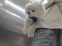 京东京造 狗粮中小型犬粮鲜肉无谷2kg全价狗粮平价成幼犬中华泰迪比熊博美 实拍图