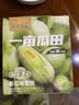 东北大板一亩蓝莓蓝莓味雪糕 95g*4支盒装 冷饮 批发 冰激凌 冰淇淋 实拍图