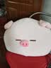 名创优品（MINISO）小猪B-BO系列-大脸靠枕玩具抱枕睡觉室内卧室办公室生日礼物 实拍图