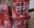 重慶啤酒（ChongQing）国宾500ml*12听 整箱罐装优选麦芽淡色拉格啤酒 聚会送礼 实拍图