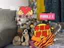 Jellycat拉弗荻小狗海盗狗黑白小狗毛绒玩偶安抚玩具送礼七夕情人节礼物 拉弗荻小狗 Medium 实拍图