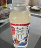农夫山泉【新口味】东方树叶陈皮白茶500ml*15瓶无糖茶饮料0糖0脂0卡 实拍图