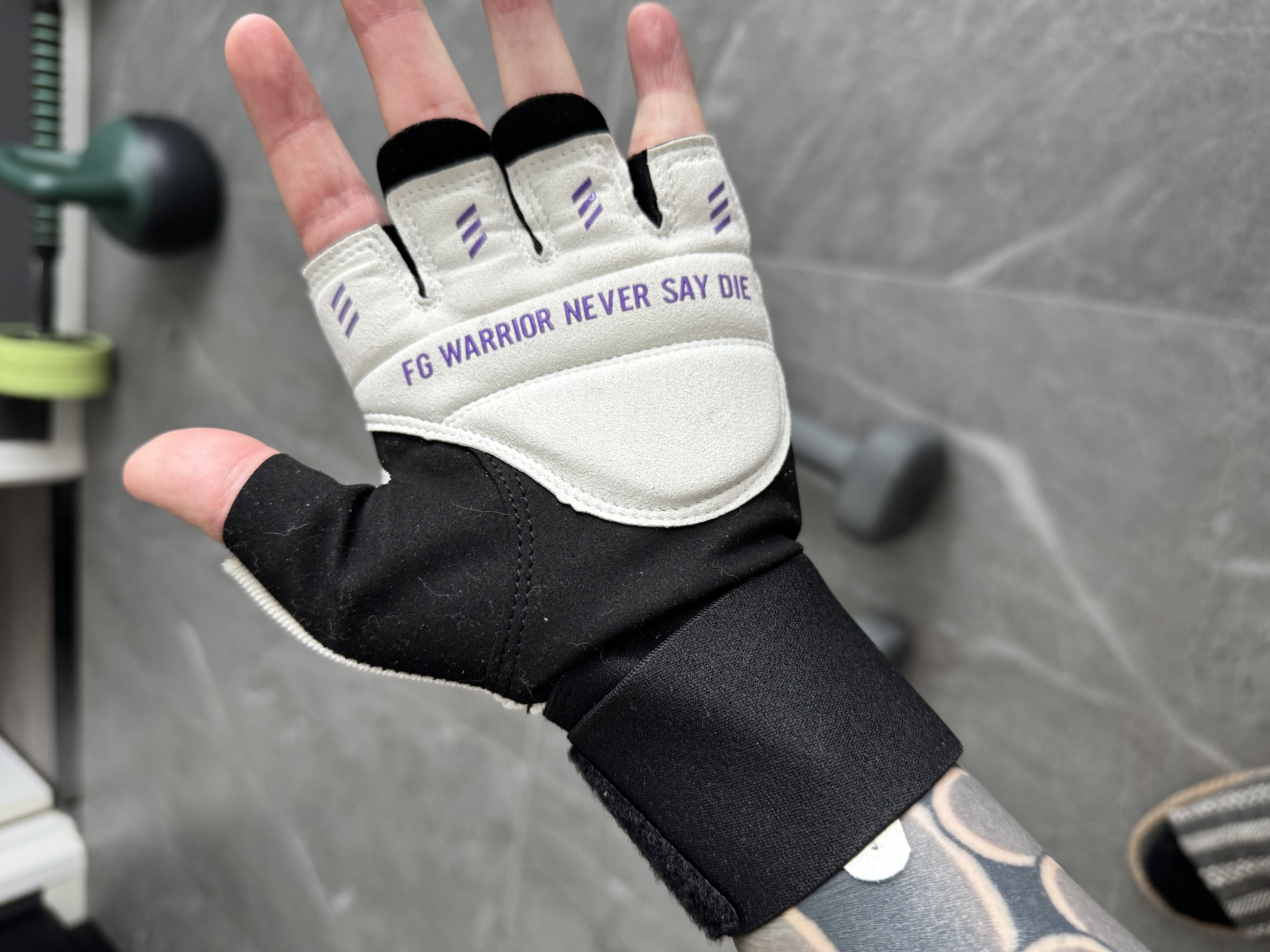 FITTER GEAR执炼健身手套护腕单杠引体向上卧推运动器械训练硬拉防滑防起茧男 实拍图