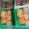 安井慕斯蛋奶橘子包350g*2 共20只 面点卡通甜包儿童早餐速冻半成品 实拍图
