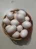趣尝鲜名特优新鸽子蛋 30枚礼盒 净重600g 杂粮喂养新鲜鸽子蛋 源头直发 实拍图