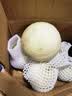 玉菇甜瓜冰淇淋现摘新鲜水果整箱当季水果香瓜冰淇淋（多仓发货） 【超值装】 9斤(净重8.5斤) 实拍图