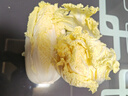 【安心菜】供港基地三宝白菜约650g(大娃娃菜) 实拍图
