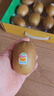 佳沛（zespri）新西兰阳光金果10个装单果重约103-114g 水果礼盒 猕猴桃 实拍图