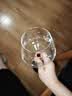CLITON红酒杯玻璃高脚彩杆杯8件酒具套装勃艮第酒杯家用葡萄酒杯醒酒器 实拍图