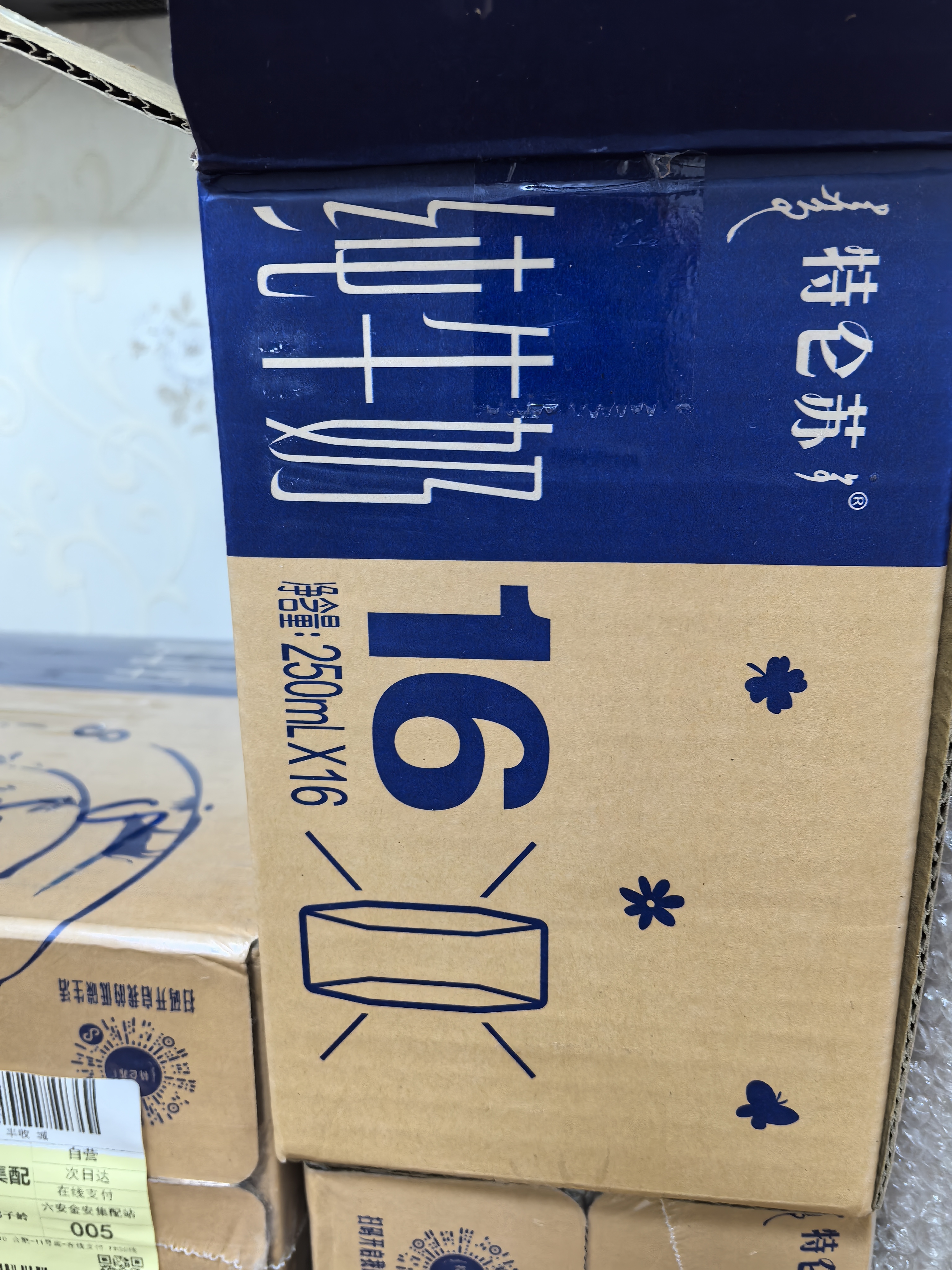 蒙牛特仑苏纯牛奶250ml*16盒 家庭早餐 送礼盒装送礼礼盒 实拍图