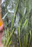 大菠菜300g 实拍图