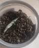 同仁堂（TRT）罗布麻叶茶嫩叶片花草茶中药材茶煲汤泡水喝的养生茶150g/罐 实拍图