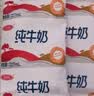 三元小福纯牛奶整箱227ml*16包 枕包 营养早餐伴侣【丁禹兮同款】 实拍图