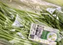 京鲜生家美舒达 出口级 山东紫洋葱 去皮洋葱 2斤 新鲜蔬菜 实拍图