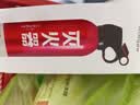 智国者车载灭火器水基小型私家庭汽轿车商专用便携式国家消防3c认证器材 实拍图