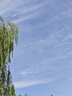 诺奥（NOW）维生素D3钙搭档助力吸收增强免疫2000IU*120粒软胶囊成人美国进口 实拍图