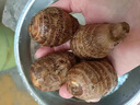 京鲜生&家美舒达山东牛奶小芋头毛芋头5斤大果50g以上净果无泥沙 出口级 实拍图