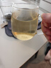 物生物（RELEA）玻璃杯男女士茶水分离杯耐高温办公泡茶杯带把高硼硅水杯花茶杯子 实拍图
