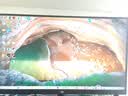 泰坦军团24.5英寸 2K 180Hz FastIPS快速液晶屏 1msGTG HDR400硬件低蓝光 桌面控制菜单电竞显示器 P2510R2 实拍图
