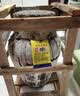 塔牌绍兴特产黄酒加饭酒10kg大坛装手工冬酿花雕酒半干型 16度 含酒吊 10L 1坛 实拍图
