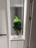 花沃里仿真发财树绿植盆栽仿真花植物假花金钱树客厅落地假盆景室内装饰 实拍图