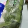babycare儿童马桶宝宝马桶坐便器小马桶小恐龙多功能坐便器 温特绿 实拍图