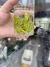 中婺春雨茶叶2026新茶特级明前龙井绿茶自己喝散茶龙井杭州原产袋装250g 实拍图