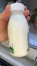 伊利金典3.8g乳蛋白鲜活纯牛奶250ml*8 30天常温短保 礼盒装 实拍图