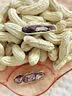 享食兔七彩花生2026咸干水煮新鲜带壳原味炒货湿烤花生正宗云南新货2斤 实拍图