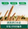英氏婴幼儿彩蝶面南瓜菠菜味200g 辅食婴儿面宝宝面条蝴蝶面13月+ 实拍图