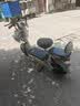 驰小虎电动自行车 吉祥虎新国标电动车电动自行车48V12Ah铅酸电池长续航电瓶车成人代步车电车 绿色 实拍图