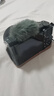 索尼（SONY）ZV-E10K黑色机身+新16-50mm镜头+GP-VPT3蓝牙手柄+SF-E64A存储卡+NP-FW50电池（共2块FW50电池） 实拍图
