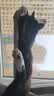 愛肯拿（ACANA）猫粮 牧场盛宴成猫幼猫粮 高蛋白无谷进口鸡肉粮5.4kg 效期27/5 实拍图