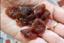 十月稻田桂圆肉 425g 无核桂圆干 无添加 煲汤泡水补气血 红枣枸杞莲子 实拍图