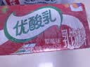 伊利【时代少年团同款】优酸乳草莓味250ml*24盒乳饮料新老包装随机发 实拍图